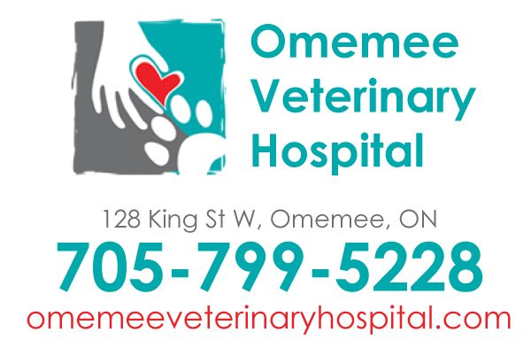 Omemee Veterinary Hospital
